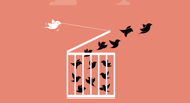 Liberated By Regulation